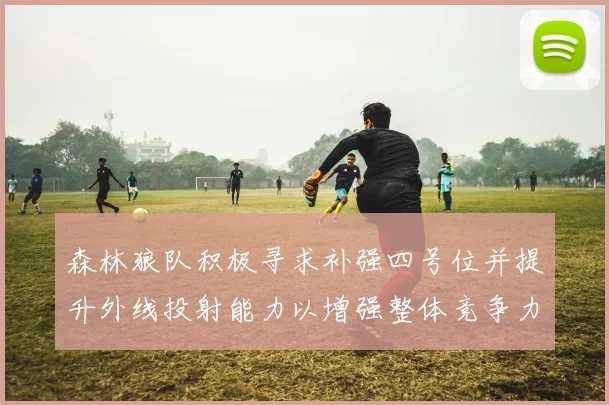 森林狼队积极寻求补强四号位并提升外线投射能力以增强整体竞争力